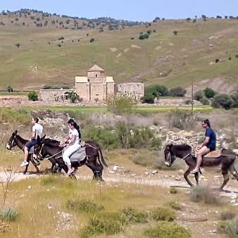 Farmlátogatás és Ciprus est